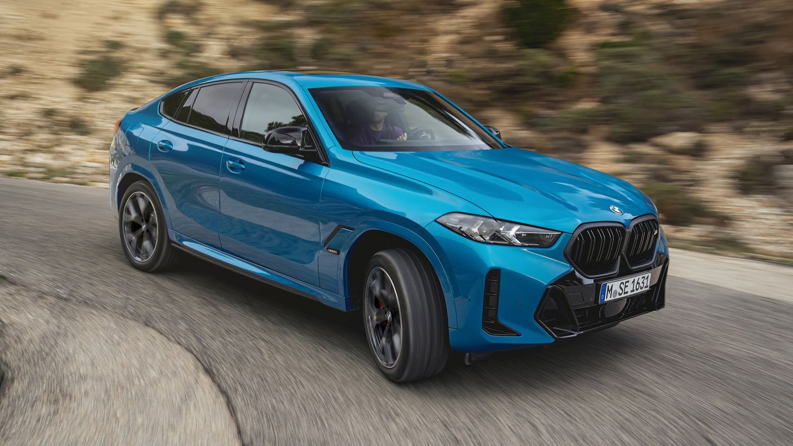 2025 BMW X6