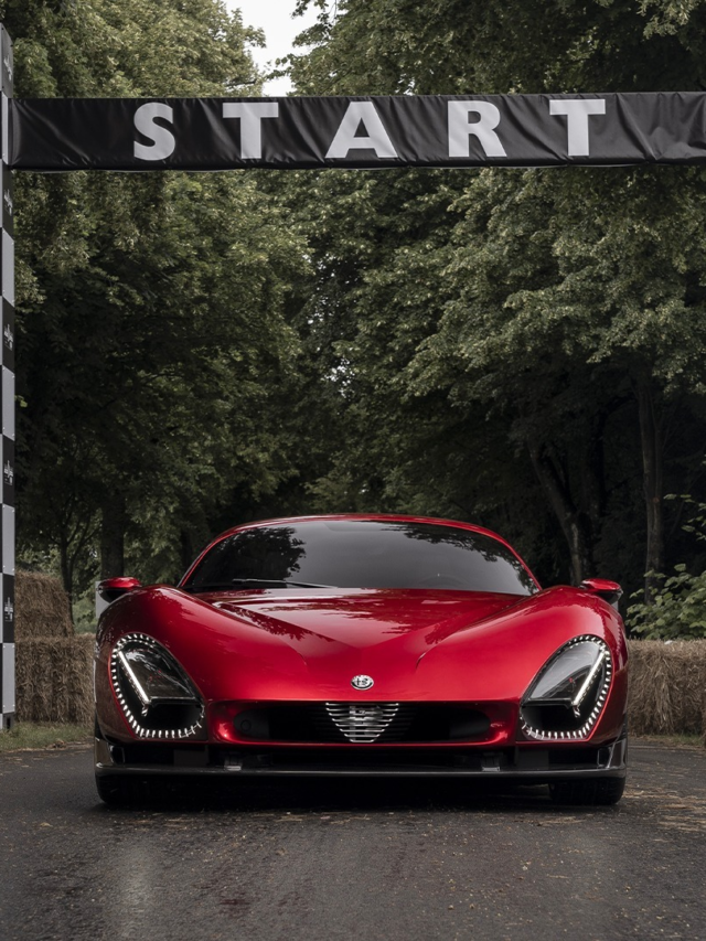 Alfa romeu 33stradale (5)