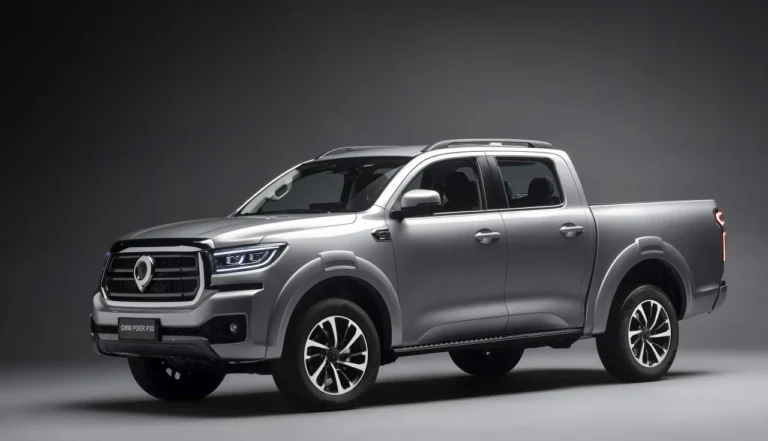 WM Poer P30 Diesel 2025