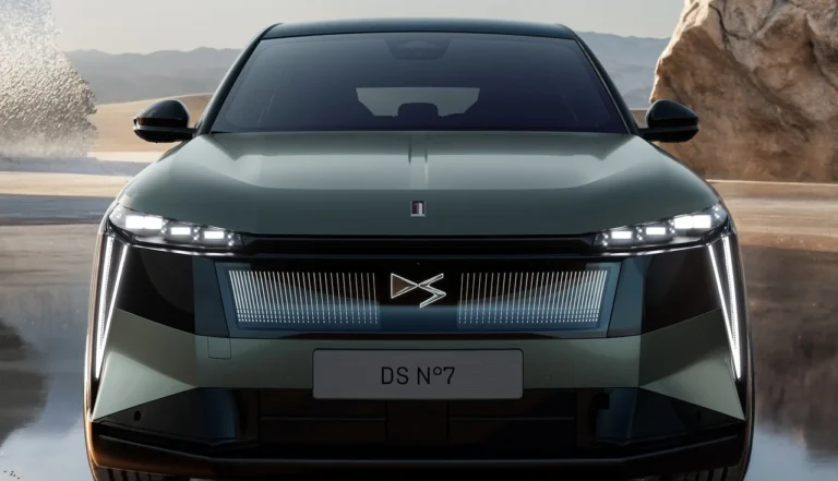 ds-no7-2026-frente