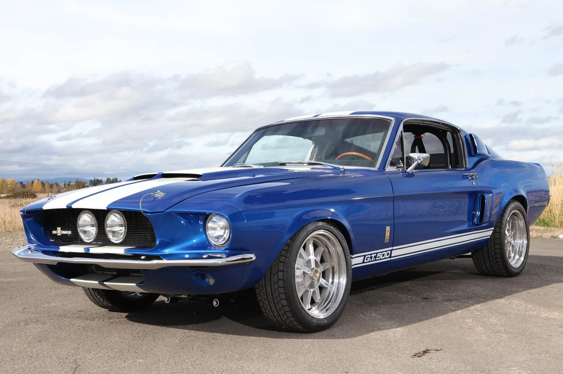 Mustang Shelby